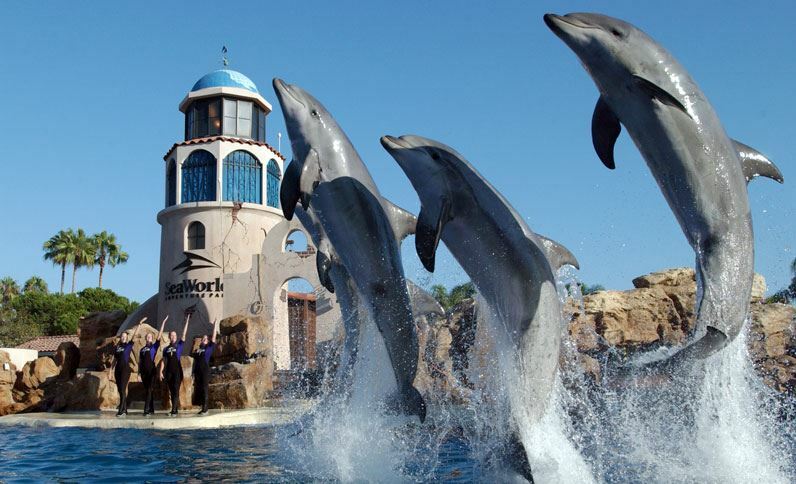 Holiday Inn San Antonio Northwest- Seaworld Area By Ihg Экстерьер фото